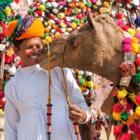 Luxury Rajasthan Tours