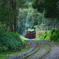 Toy Train in Ooty on Tamil Nadu tour