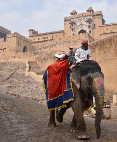 Rajasthan Tour Packages