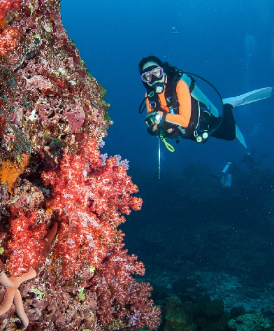 Andaman & Nicobar Island