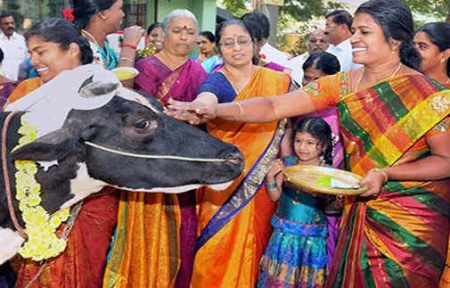 Pongal, Tamil Nadu