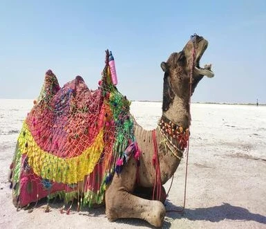 Rann Utsav, Gujarat