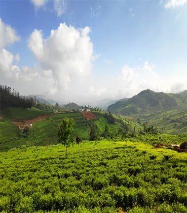 West Bengal Tour Packages