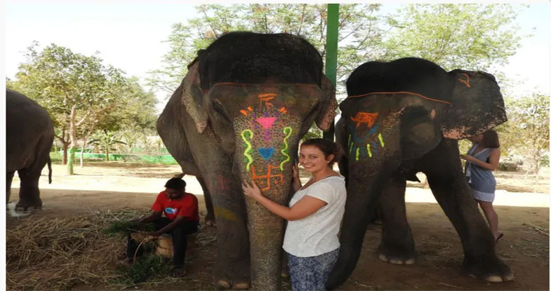 Tourists at Elefantastic in Jaipur Image