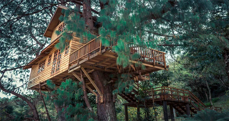 Tree House Stay in Kerala Image