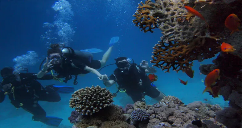 Snorkeling in Andaman Image