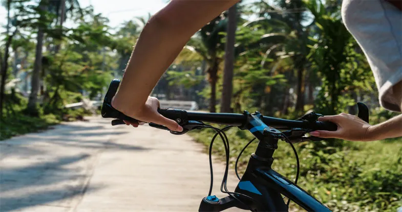 Cycling Tour in Udaipur Image