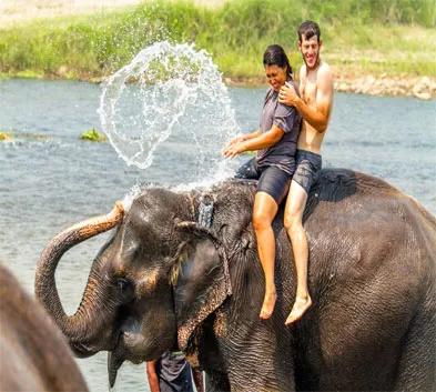 Nepal Wildlife Safari Tour