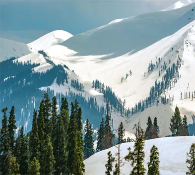 Paradise of Earth- Kashmir