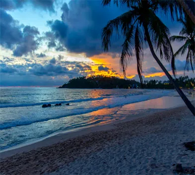 Discover Srilanka Spice Trails