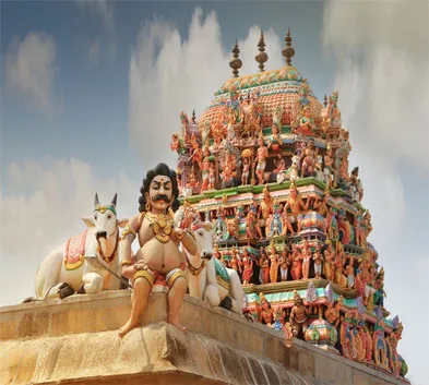 Incredible Tour to South India