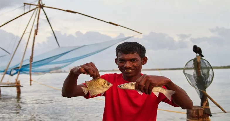 Chinese Fishing Nets, Cochin Image