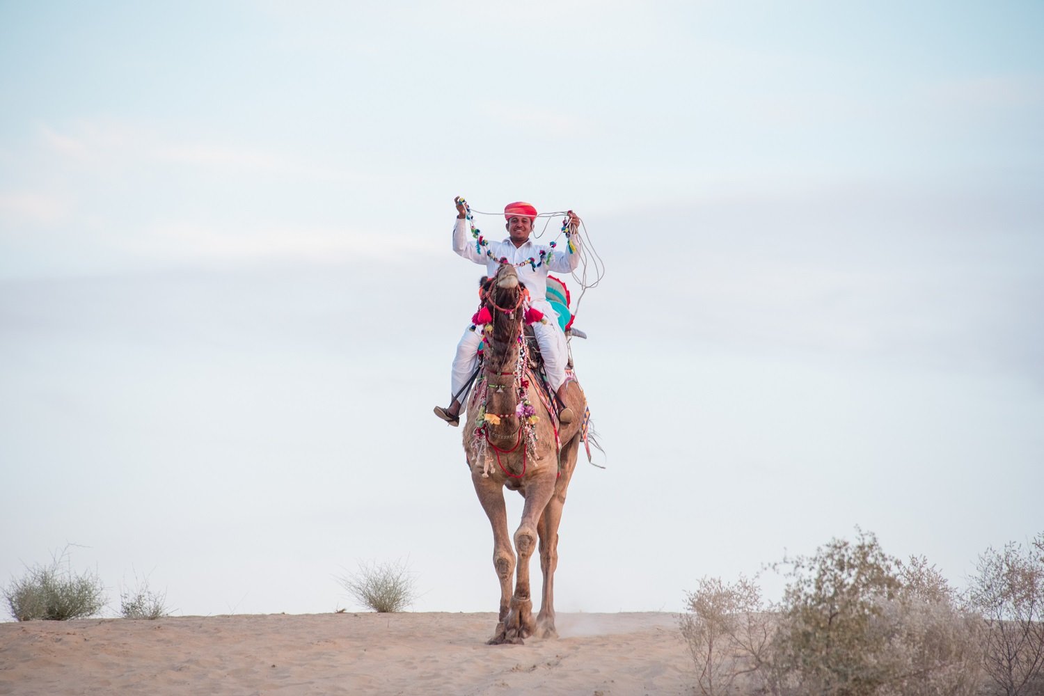 Top Alwar Attractions for History, Culture and Fun