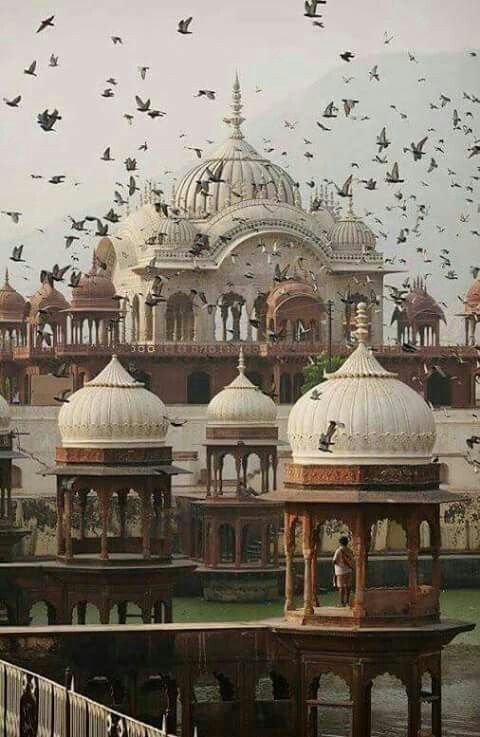 Top Alwar Attractions for History, Culture and Fun