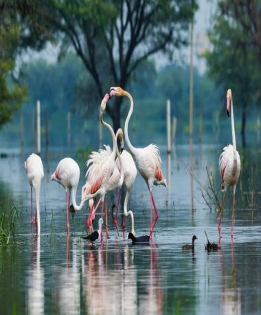 West Bengal Tour Packages