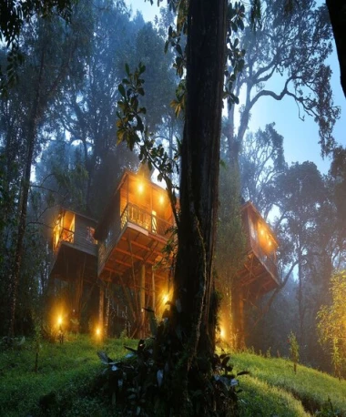 West Bengal Tour Packages