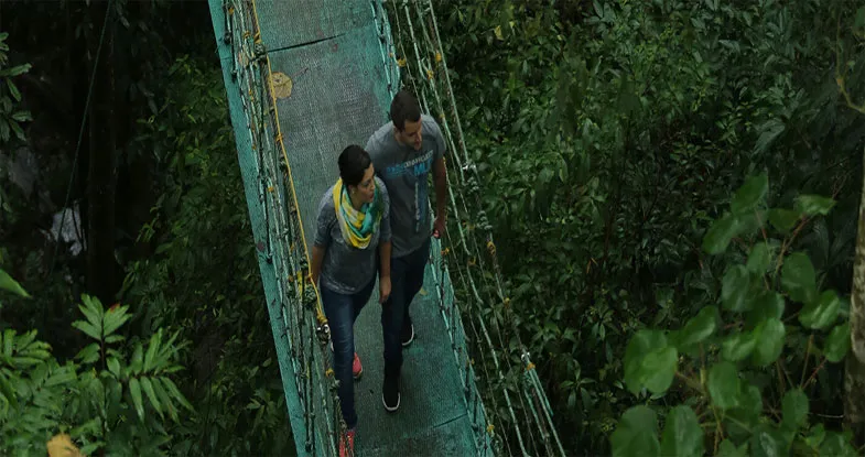 Tree House Stay in Kerala Image