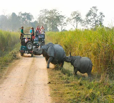 East India Wildlife Luxury Tour