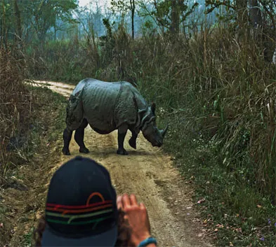 Chitwan Jungle Safari Tour from Kathmandu using Luxury Hotels