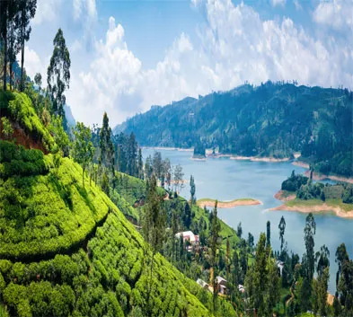 Incredible Kerala with Highlights of Srilanka