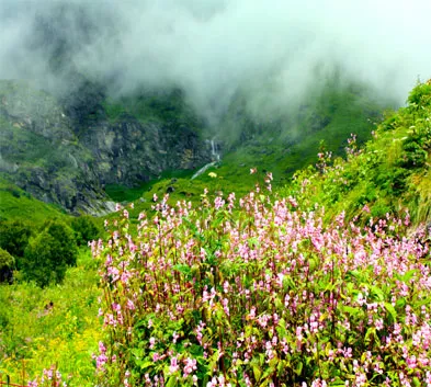 Valley of Flowers Trekking Tour