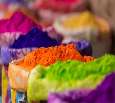 Holi Colours in Rajasthan