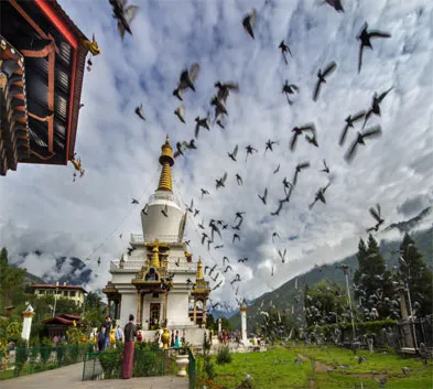 Experience the Best of Bhutan