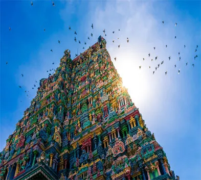 Highlights of Tamil Nadu Tour