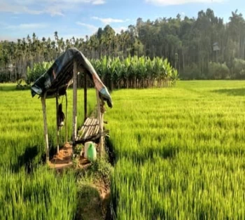 Karnataka Hill Station with Wayanad Village