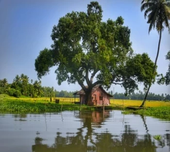 4 Day Weekend Escape to Kerala