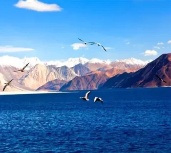 Best of Ladakh with Pangong Lake