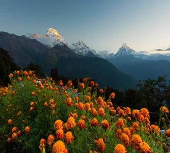 Golden Triangle with Himalayan Country-Nepal